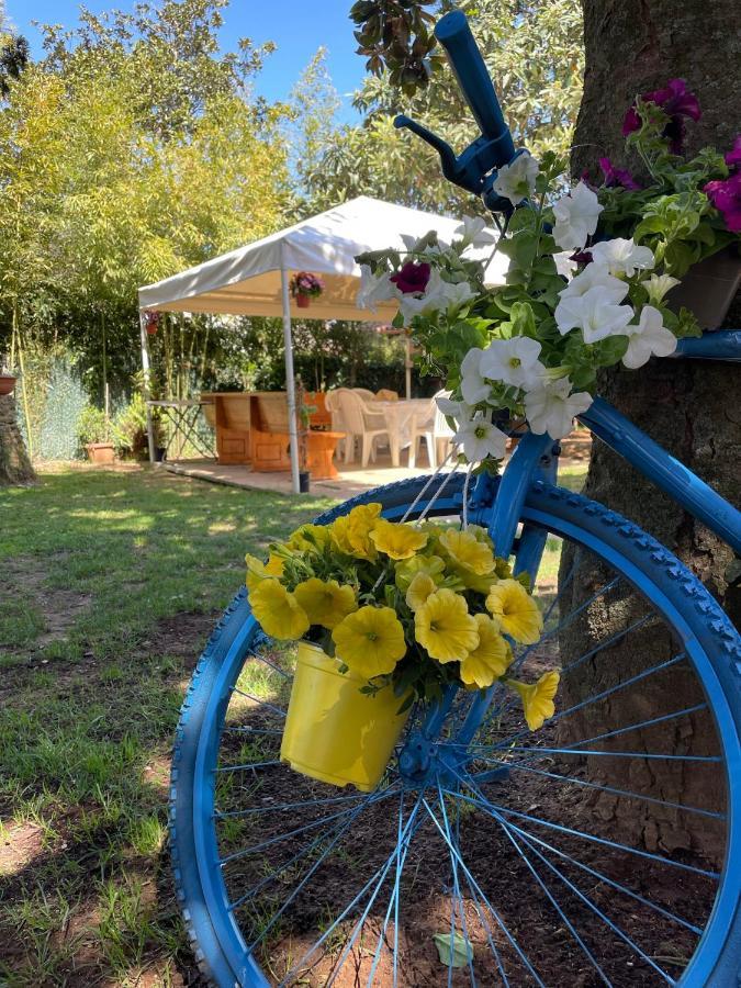 Appartamento In Villa Con Giardino Vicino Al Mare Bella Farnia Eksteriør bilde